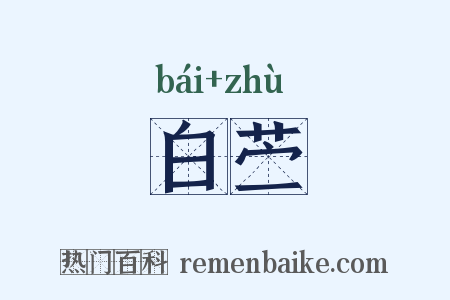 白苎是什么意思的图片